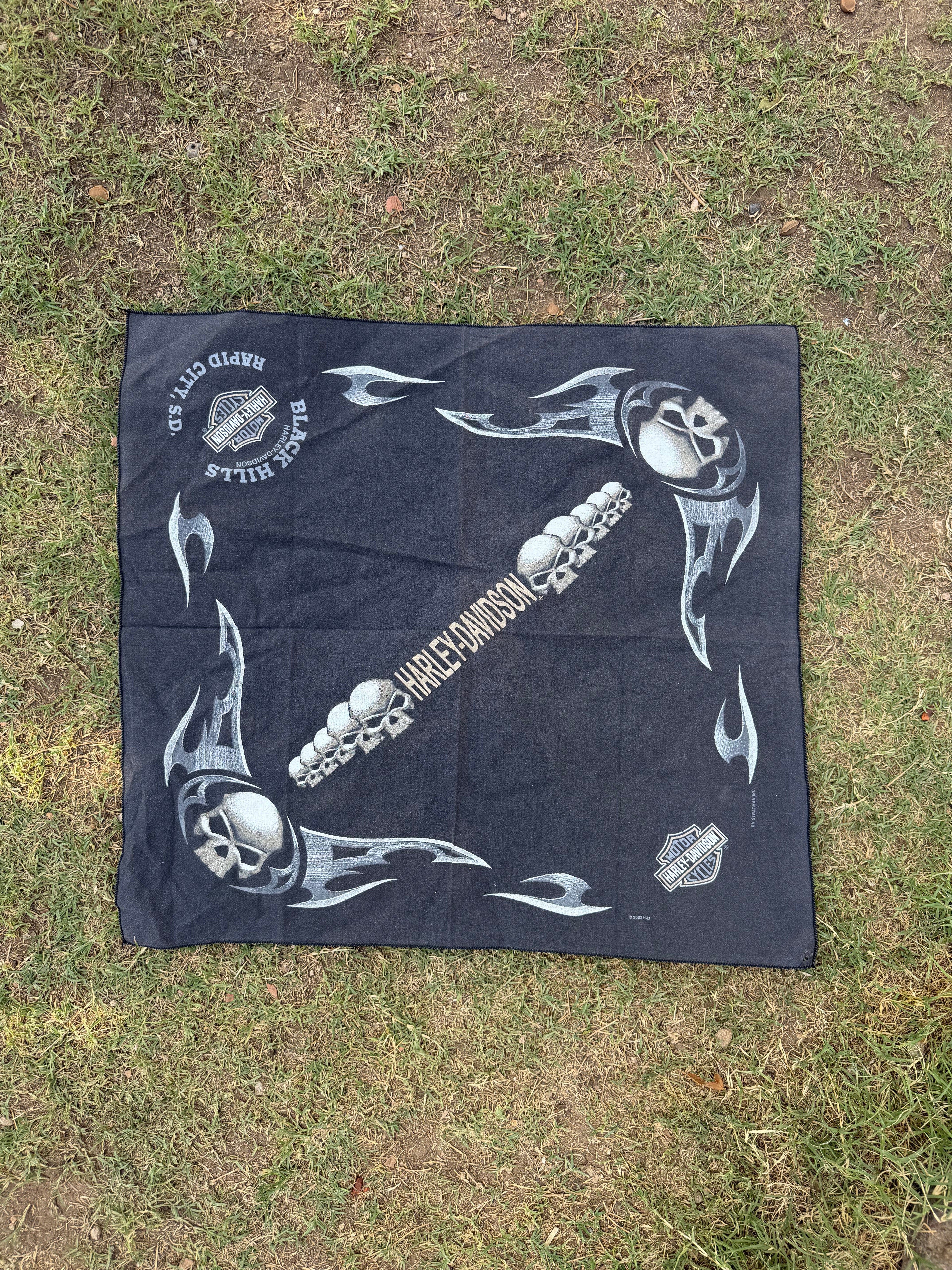 Vintage Harley-Davidson Y2K Skull Bandana Handkerchief